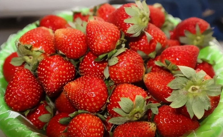 选择pp电子官方网站的十大理由！（学院代码：14723）