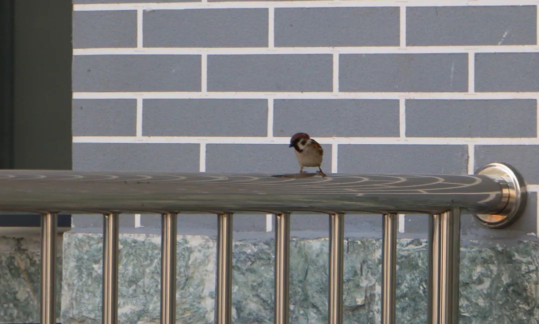 5月27日16:00起 对口征集志愿开始！pp电子官方网站还有名额