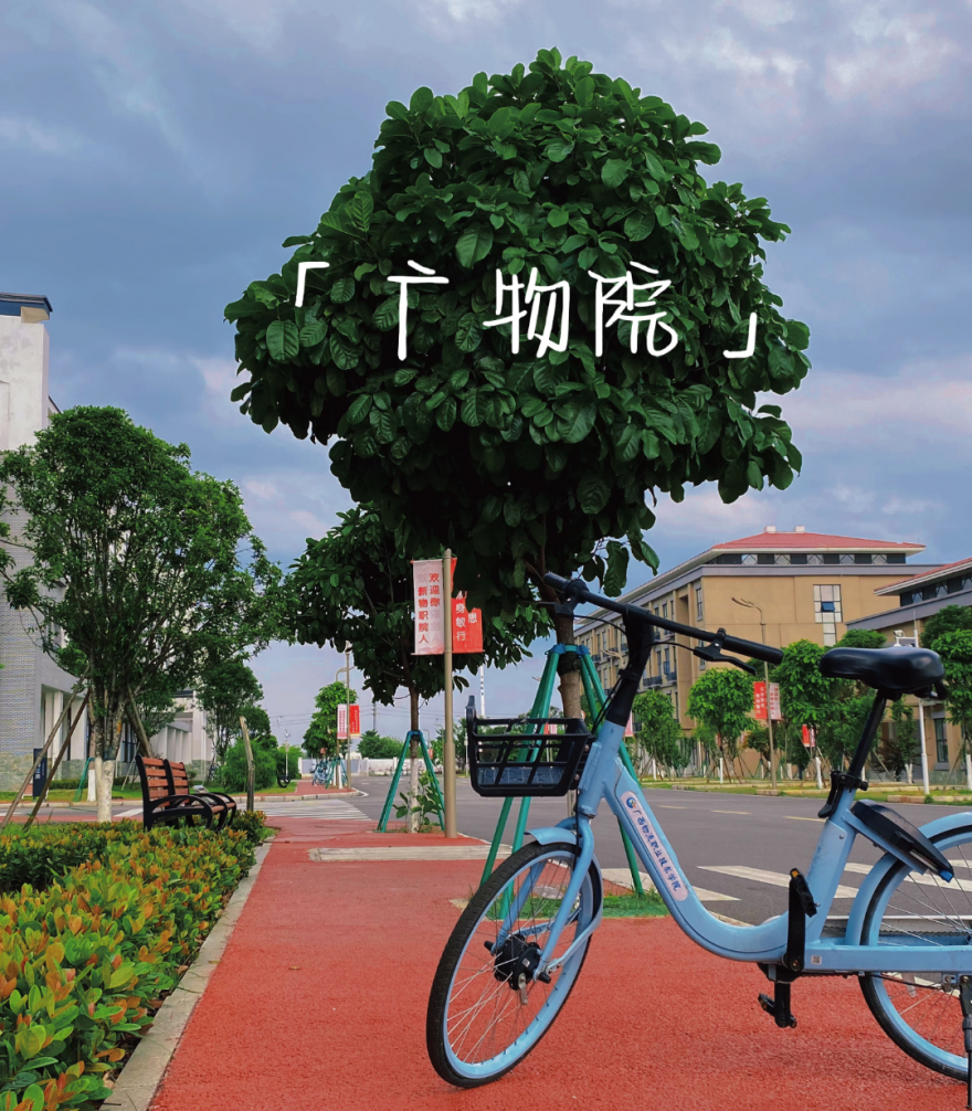 5月27日16:00起 对口征集志愿开始！pp电子官方网站还有名额